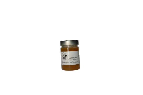 25MIEL4125F